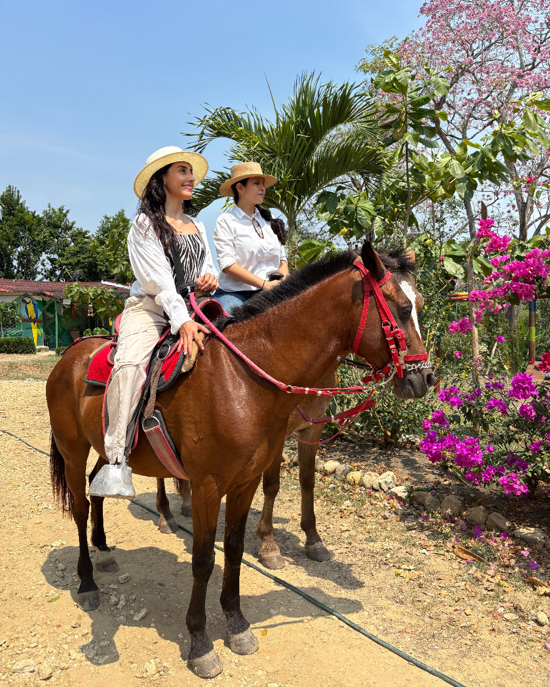 [:en]tour_eco_cartagena_horse_utv_Mesa de trabajo 1 copia 6[:]